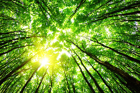 expander-energy-selects-axens-technology-hydrocarbon-engineering